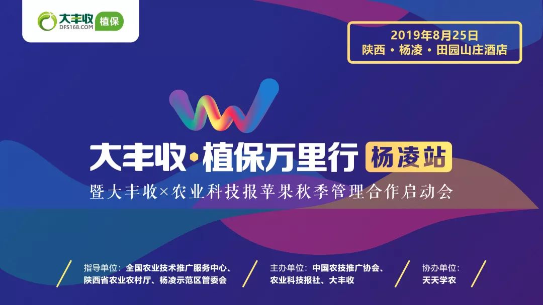 赋能陕西苹果产业，实现品质效益双提升：大丰收植保万里行集众智谋发展！