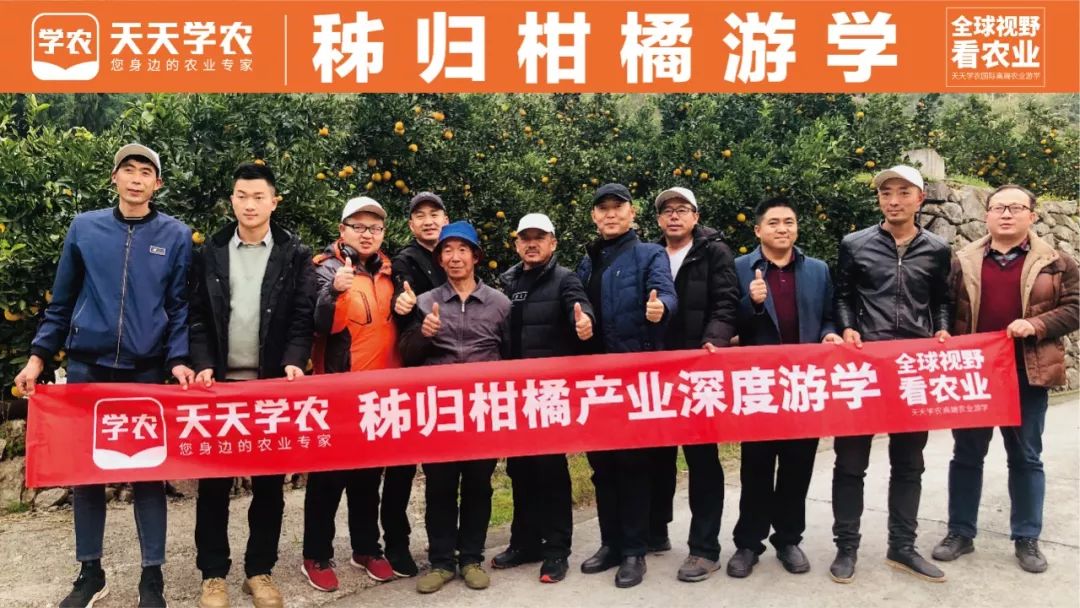 秭归游学|走进国内首个“脐橙之乡“，他们见识了全国最强修剪！