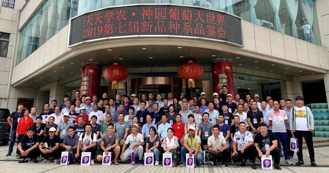葡萄新品种（系）品鉴会圆满结束，每个品种市场潜力都不可估量！（高清图）