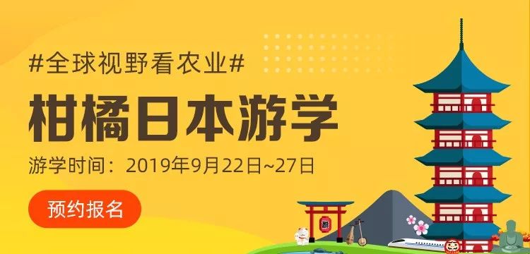 重磅！为你揭开这个150亩柑橘园年产值1.6亿的秘密！