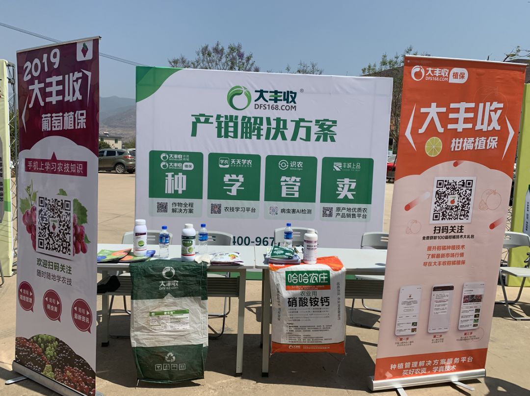 大丰收亮相宾川葡萄产业发展大会，农技服务获热捧！