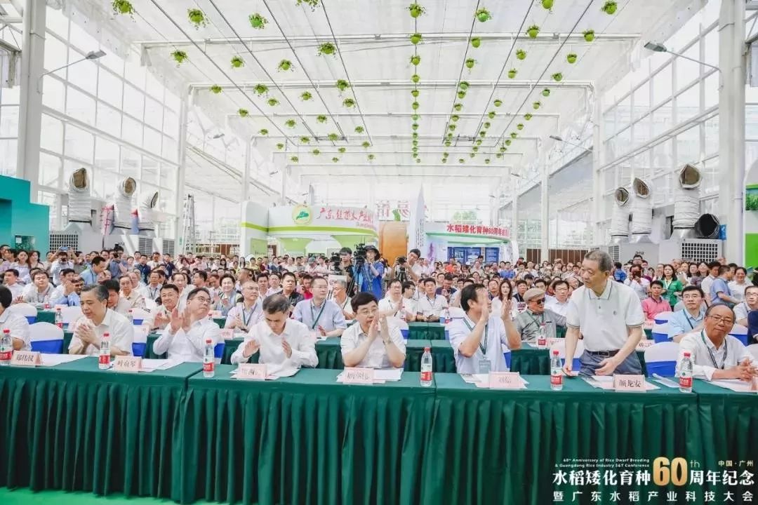 丰农控股出席水稻矮化育种60周年纪念暨广东水稻产业科技大会，展示智慧农业新成果！