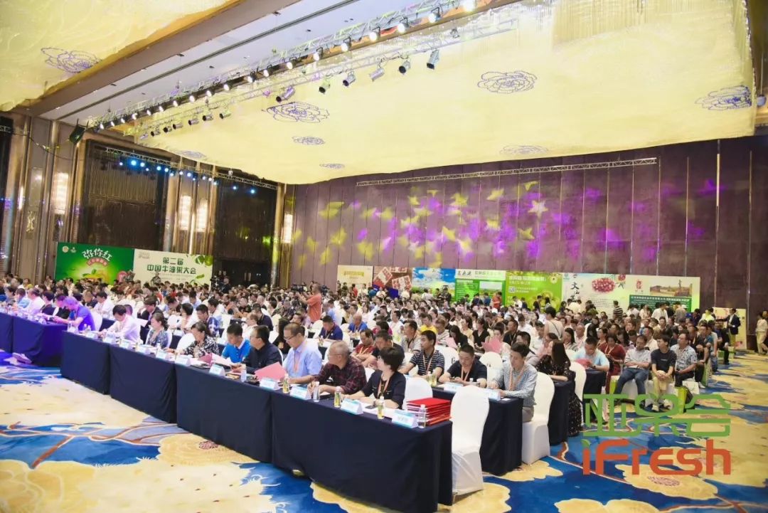 丰诚上品直供模式闪耀2019亚洲优质水果产业链（云南）峰会