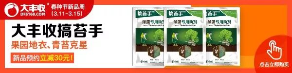 大丰收联合主办系列作物解决方案会议之杂柑论坛，推动四川柑橘发展！