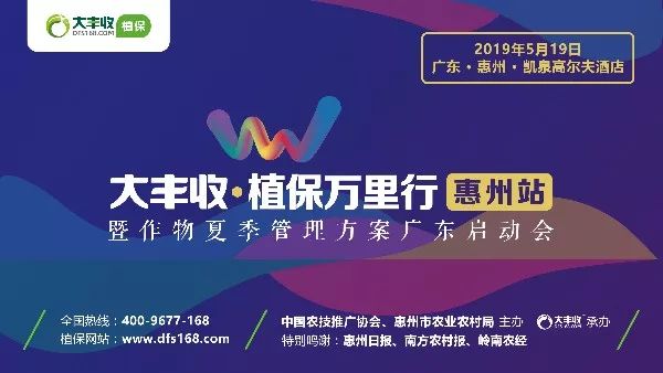 @广东种植户，花1天时间做这件事，品质和产量都不用愁了！