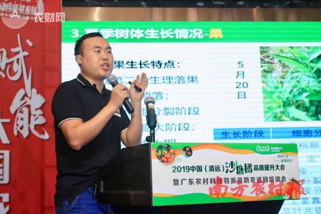 大丰收助力2019中国(清远)沙糖橘品质提升大会，圆果农致富梦！