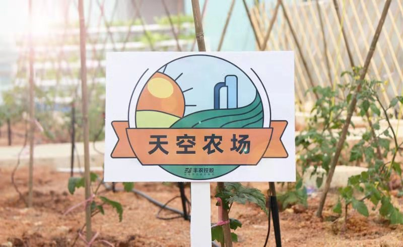 3·12植树节，丰农控股“天空农场”正式开放啦！