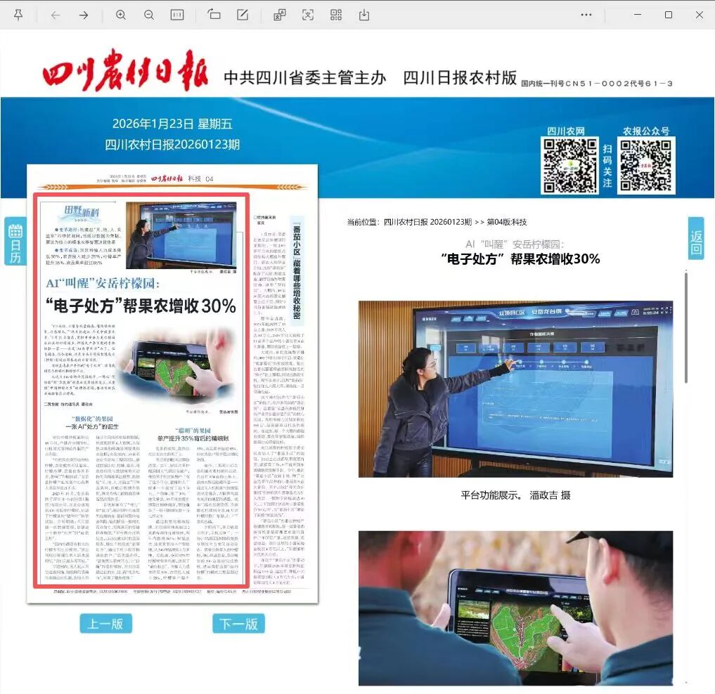 四川农村日报特别报道：AI“叫醒”安岳柠檬园 一张“电子处方”如何让果农增收三成