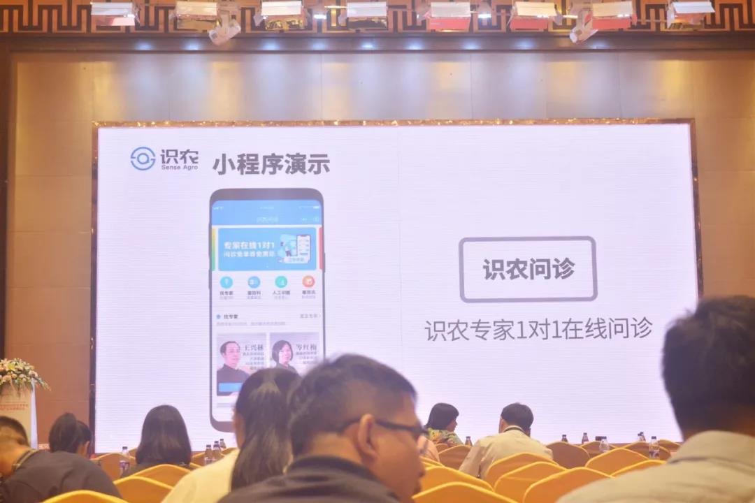 AI助力柑橘产业新发展，识农智能受邀参加中国柑桔学会2019年学术年会