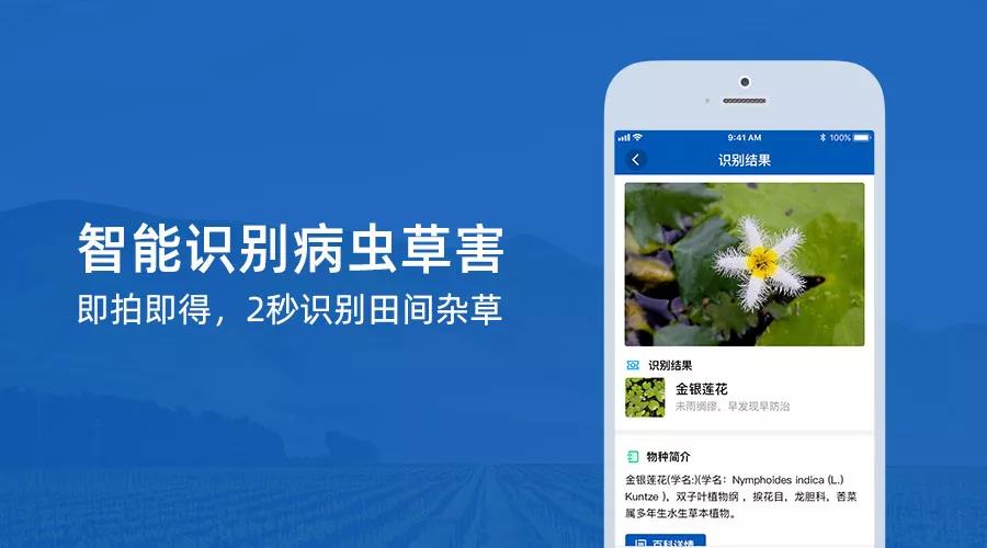 识农开放识别接口，阿里已开始应用杂草识别功能，助力智慧农业发展