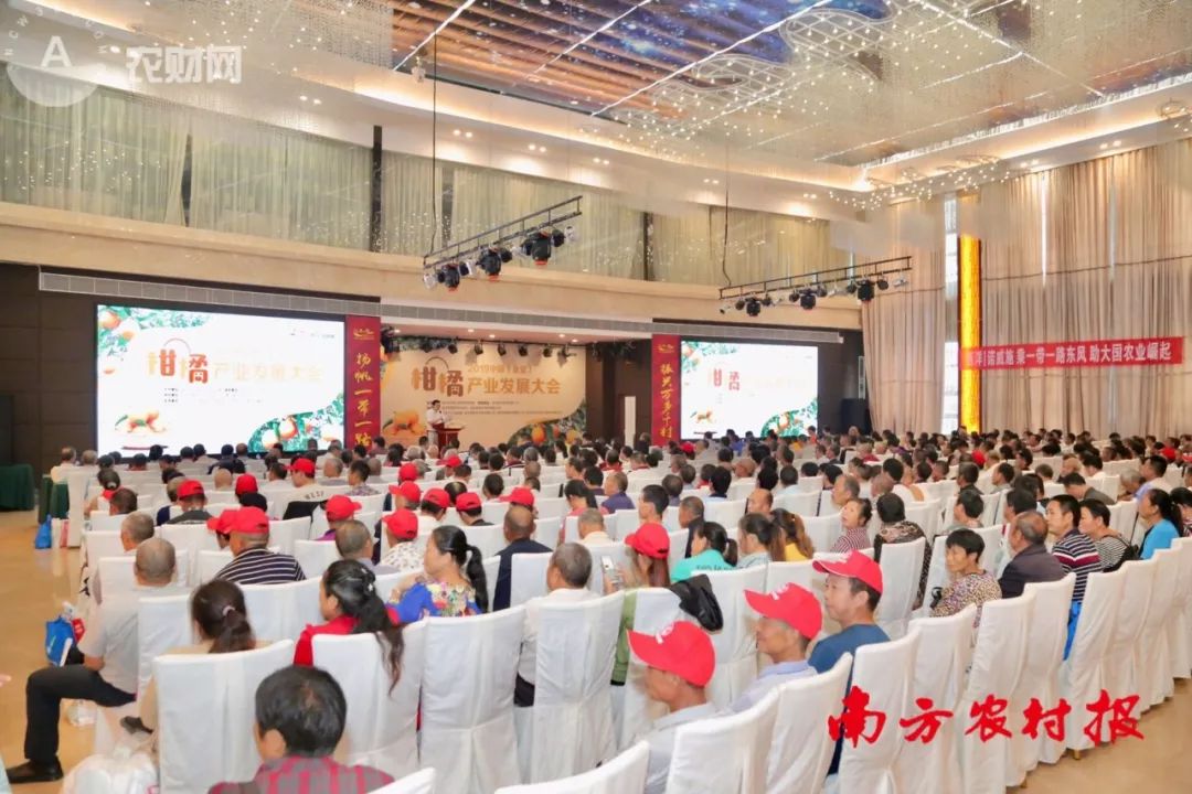 大丰收柑橘产销解决方案服务四川种植户，让高效种植更容易！
