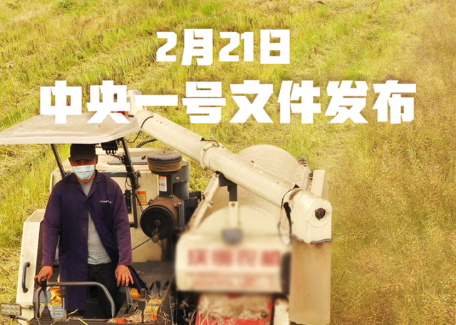 “国家乡村振兴局”为何而来​？