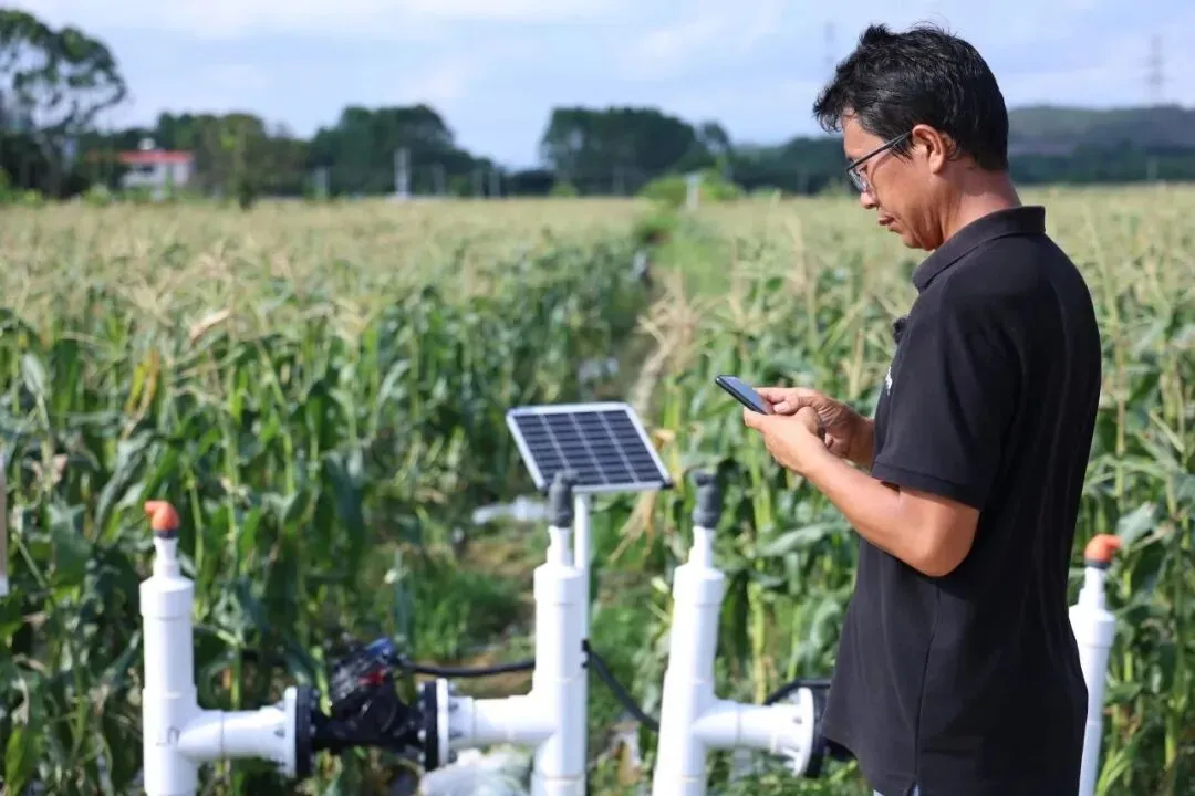 全国74席，mg不朽情缘官网控股独占两席！入选农业农村部智慧种植典型案例