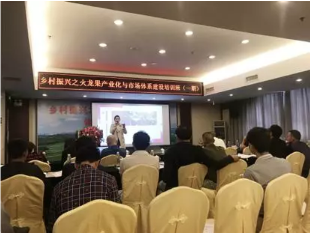 火龙果2.png