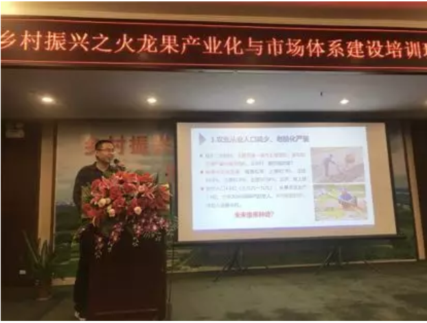 火龙果5.png