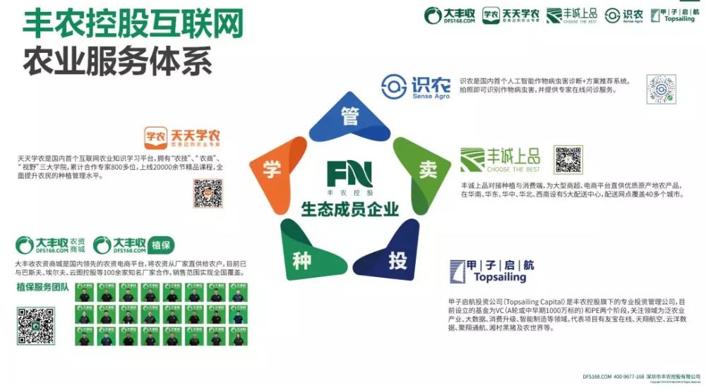 火龙果8.png