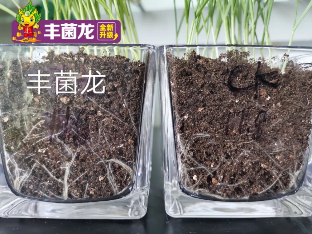 植保会5.png