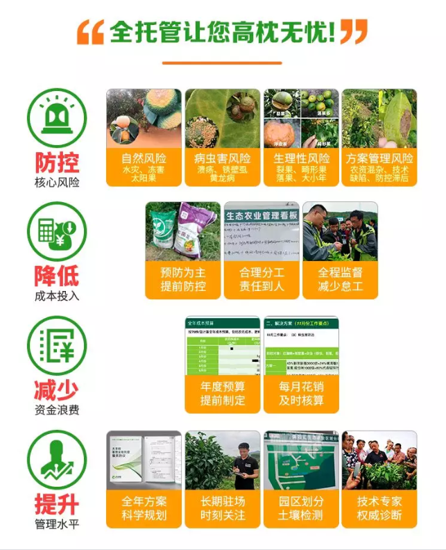 植保会6.png