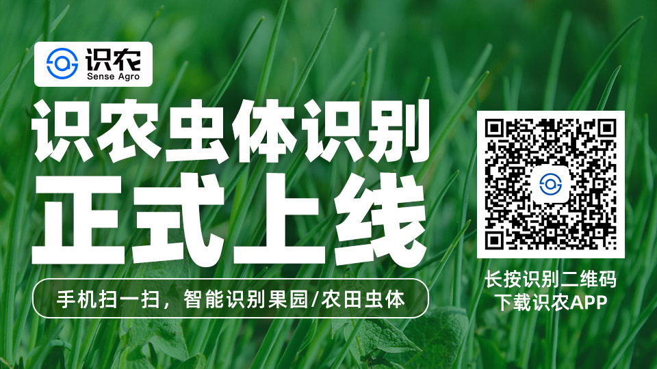 微信图片_20200617114322.jpg